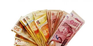 Notes Brazilian Real Notes in Hand