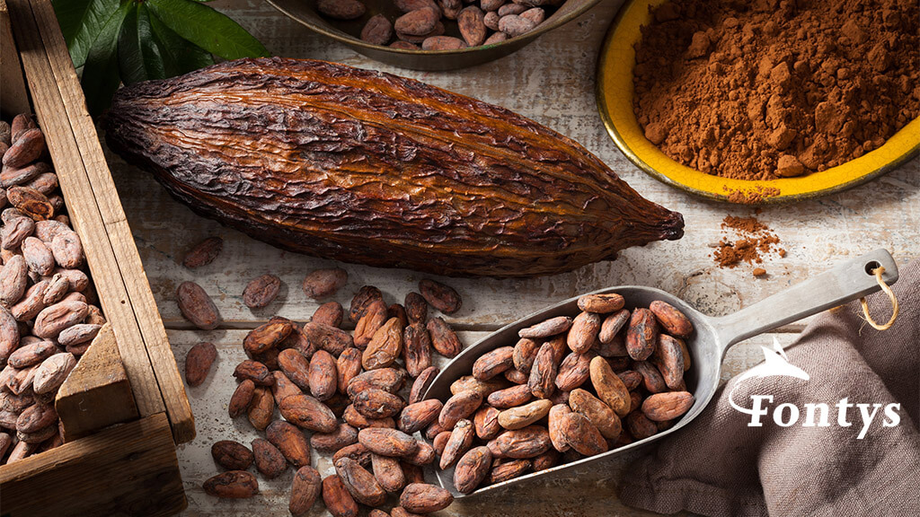 Cacao Pods, Beans, Powder