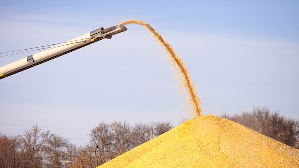 Grain elevator