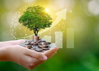 Hands holding coins with a tree and a graph in the background