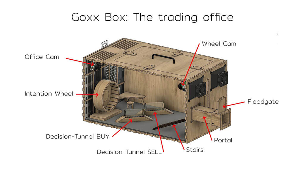 Goxx Boxx - schematic. Mr Goxx, hamster trading in cryptocurrency