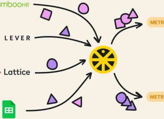 Orgnostic diagram