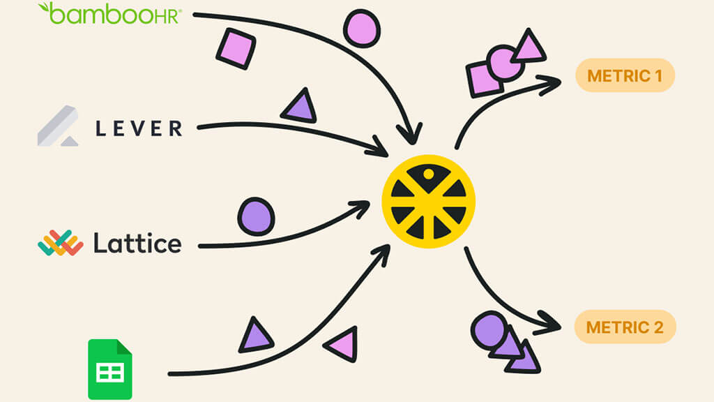 Orgnostic diagram