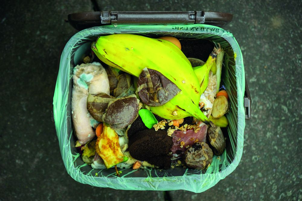 Food waste in bin