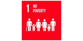 UN SDG1 No Poverty