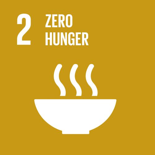 SDG2: Zero Hunger