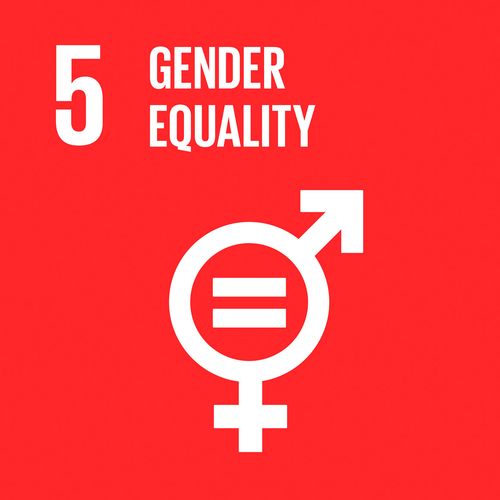 UN SDG5 Gender Equality