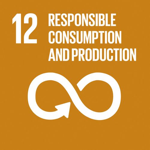 UN SDG12 Responsible Consumption and Production
