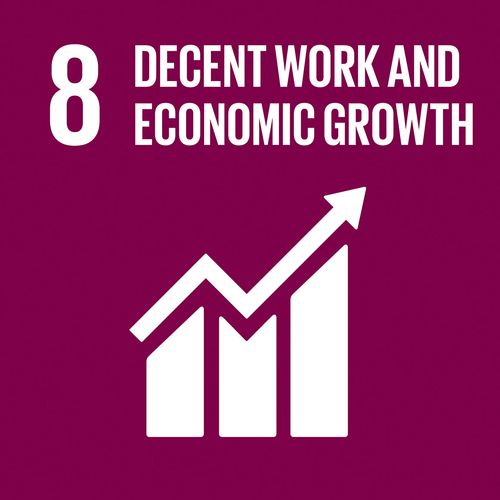 UN SDG8 Decent work and economic growth