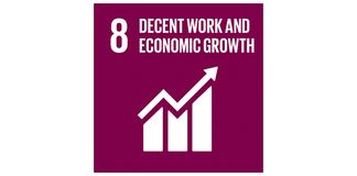 UN SDG8 Decent work and economic growth