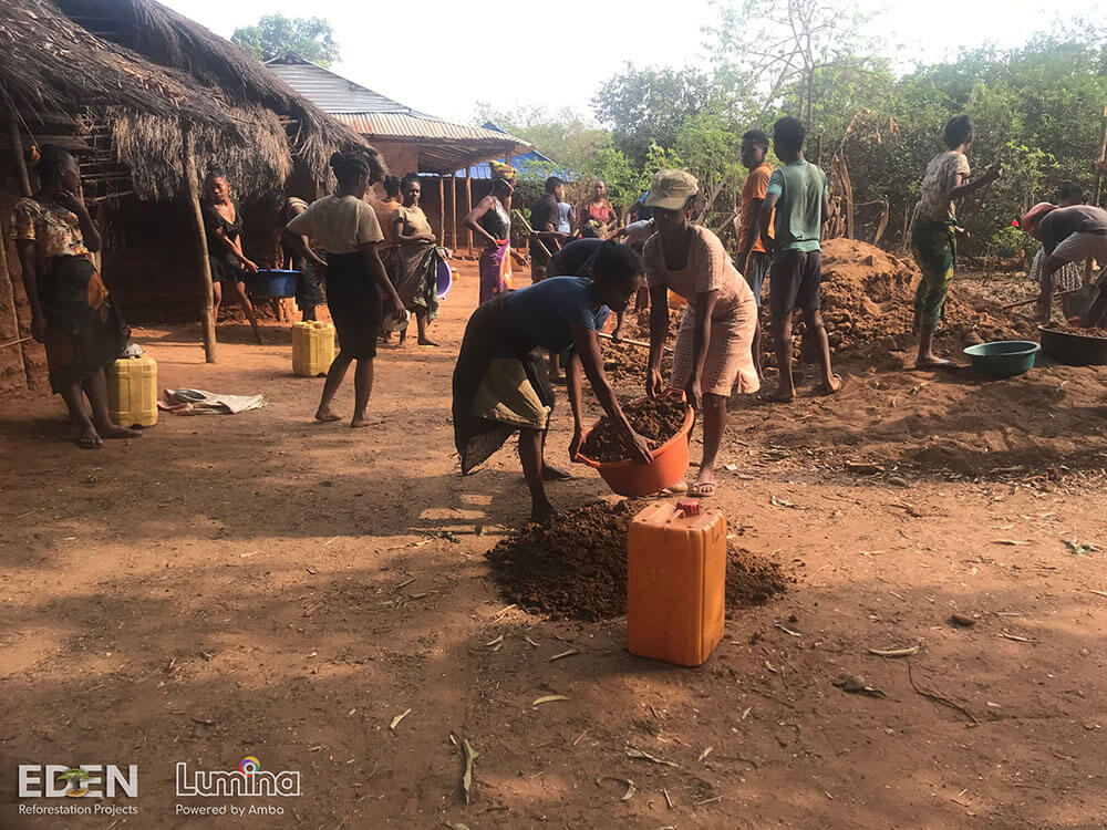 Lumina Forest community, Amba, Eden Reforestation