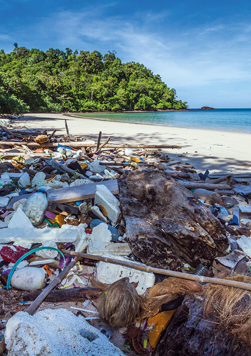 Tropical beach with rubbish