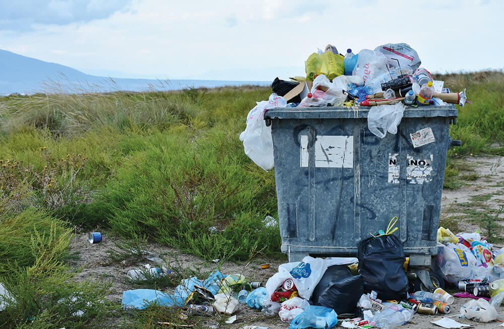 Large overflowing bin, moorland