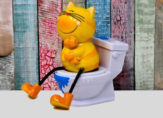 Cat on toilet, Fibrecycle illustration