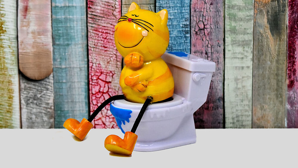 Cat on toilet, Fibrecycle illustration