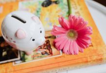 Piggy bank and flower. UK Spring Budget illustration