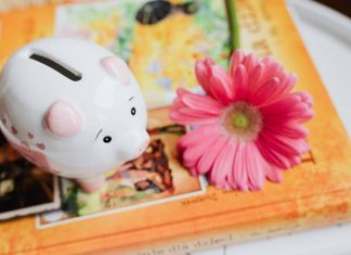 Piggy bank and flower. UK Spring Budget illustration