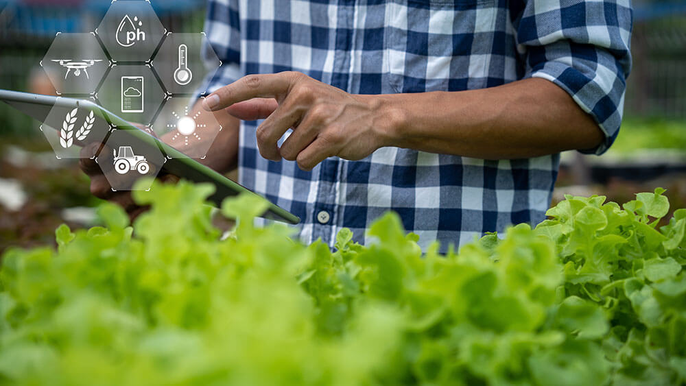 Crop, farmer, tablet, agricultural innovation illustration