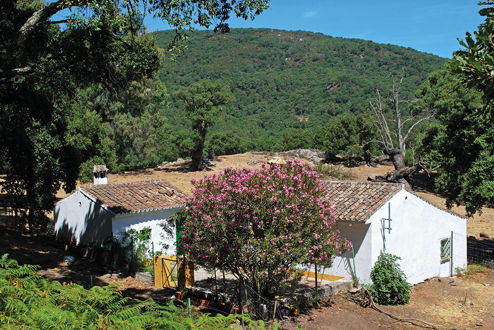 Spanish finca in Alcornocales