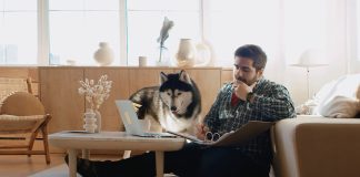 Man with dog working from home