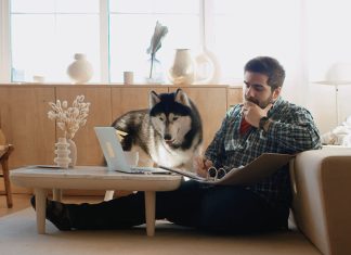 Man with dog working from home