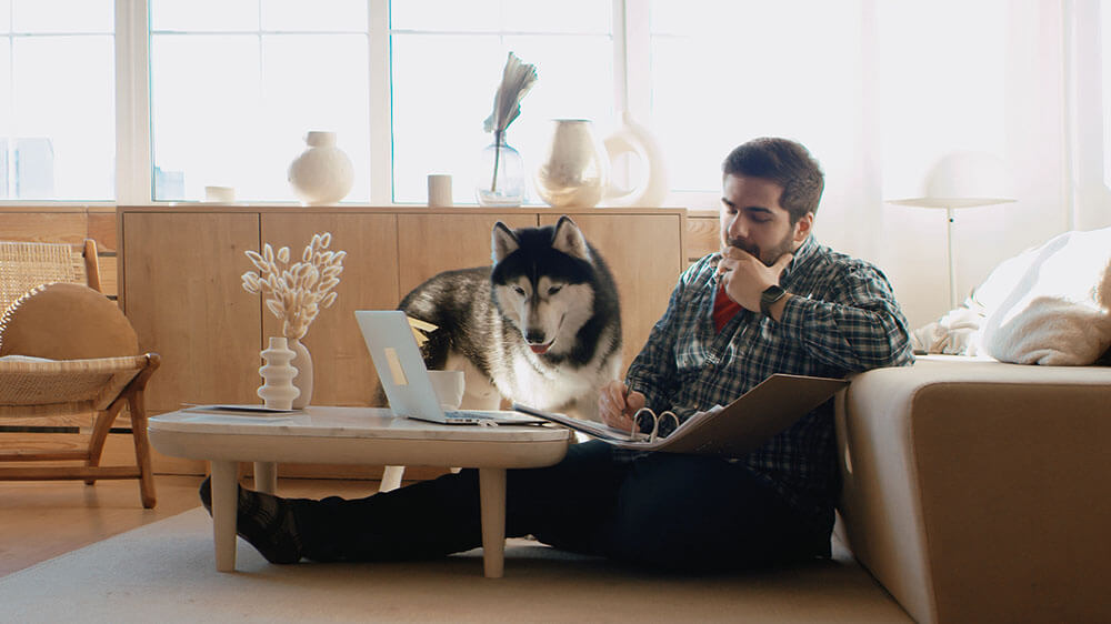 Man with dog working from home